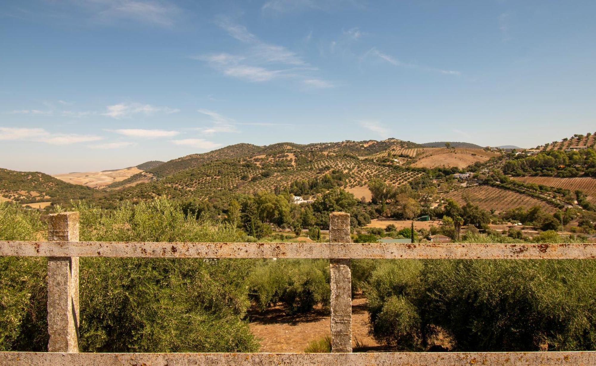 Casa Rural El Carmen Prado Del Rey Luaran gambar