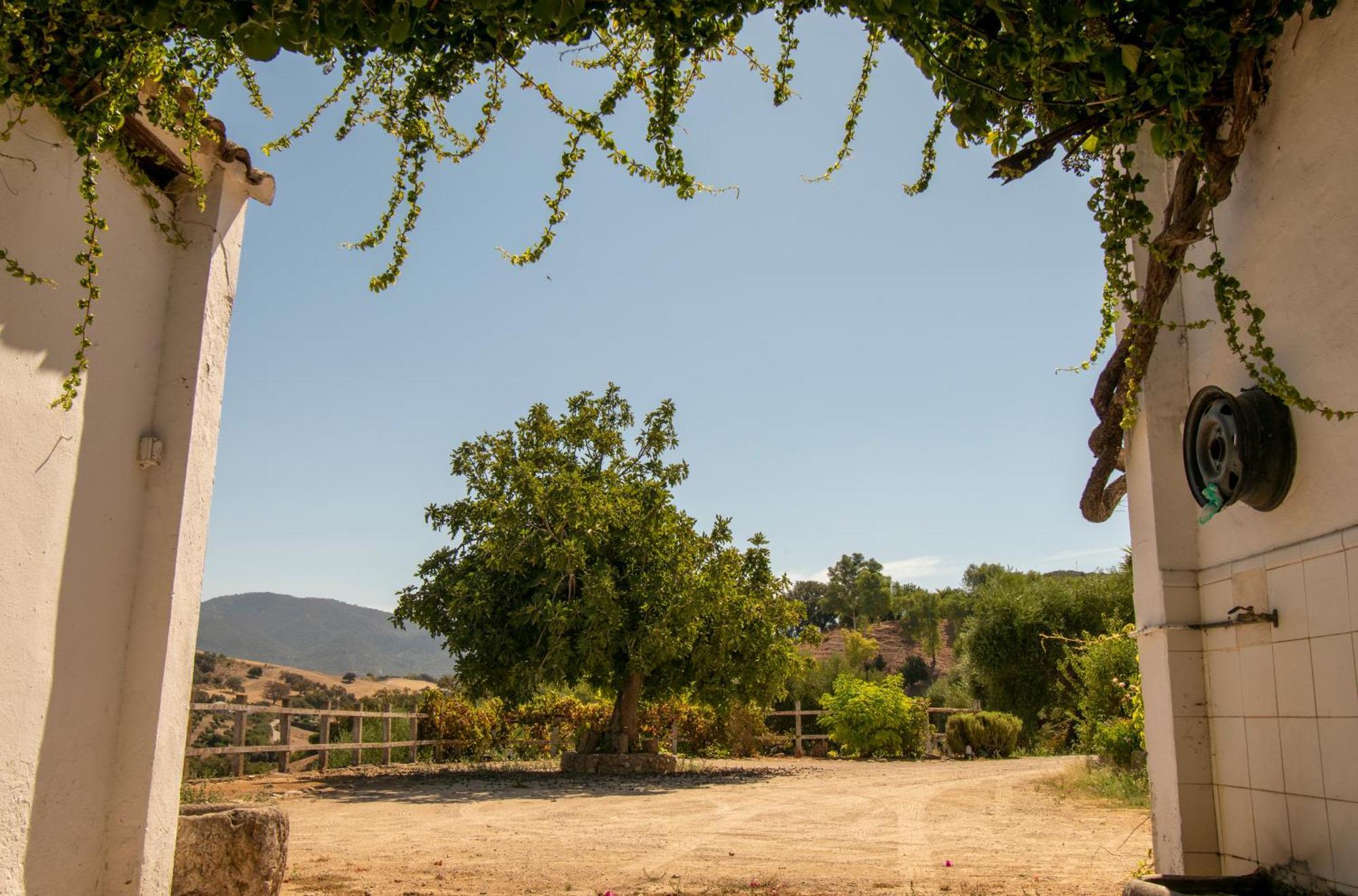 Casa Rural El Carmen Prado Del Rey Luaran gambar