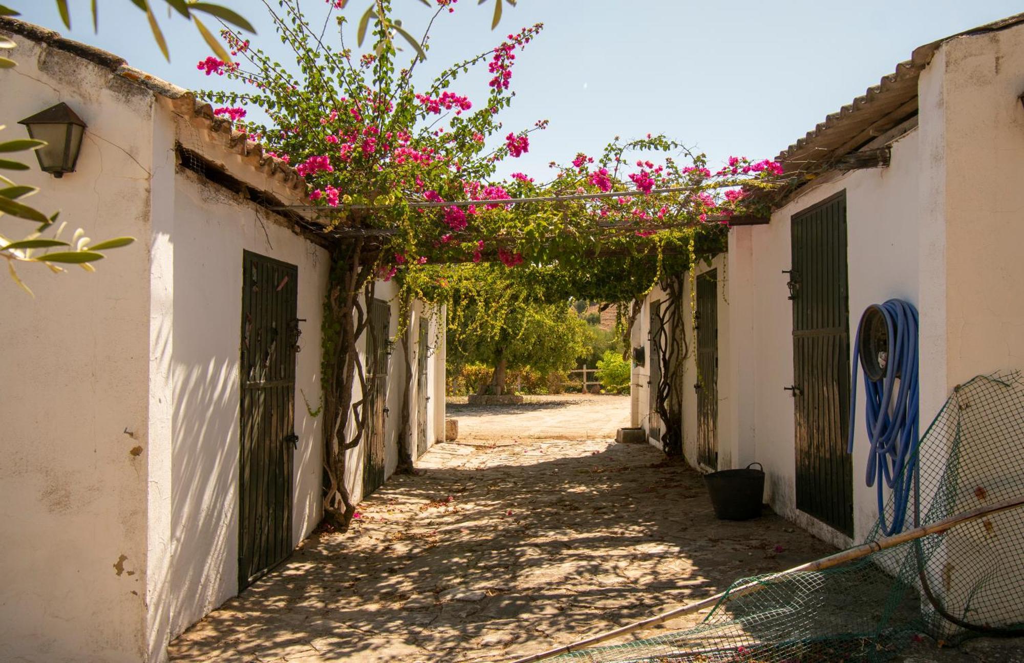 Casa Rural El Carmen Prado Del Rey Luaran gambar